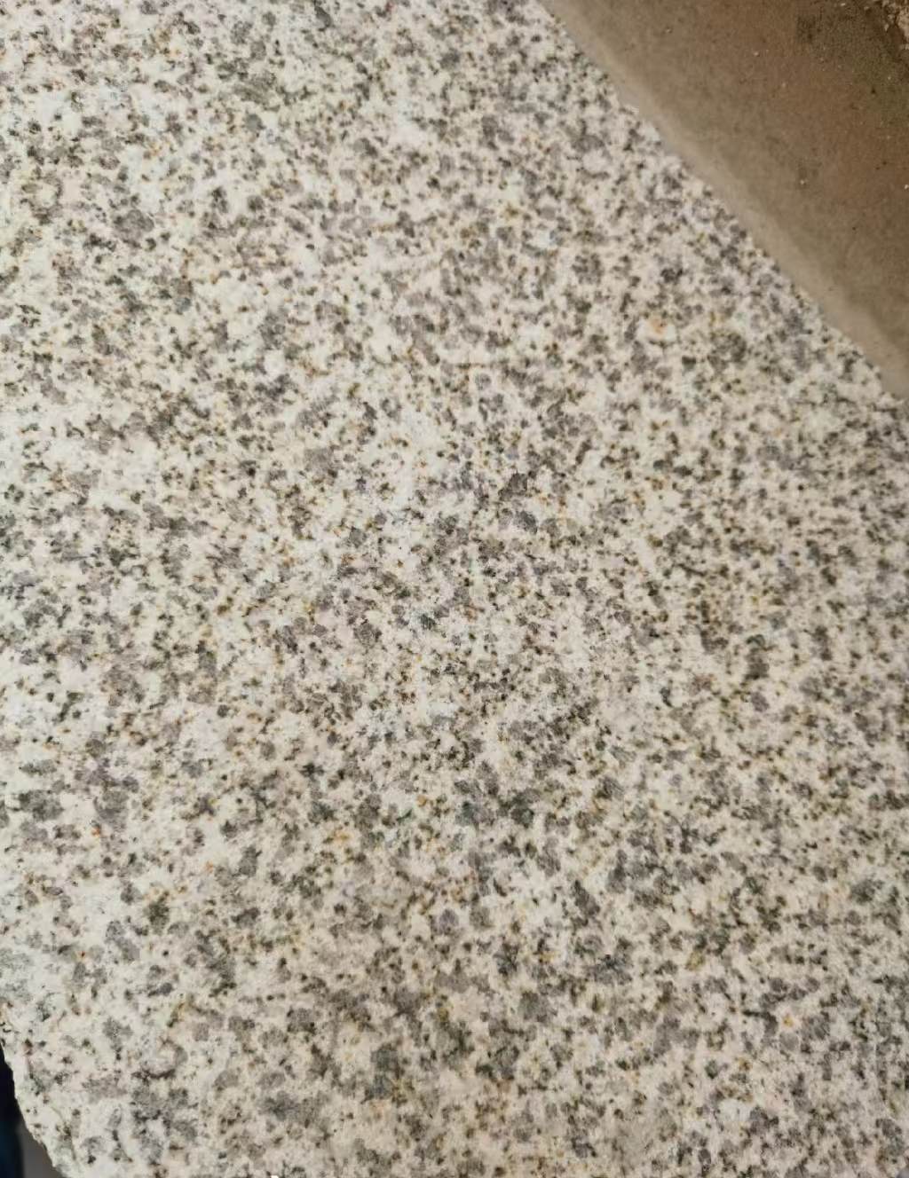 曲靖 黄金麻中黄光面